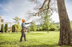 Best Lawn Irrigation Installation and Maintenance  in Thornwood, NY